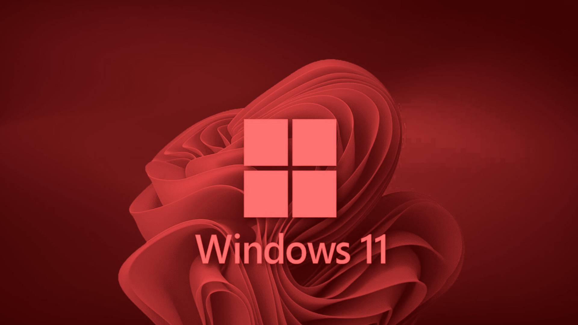 Actualizacion De Windows 11 Kb5063878 Problemas Con Ssd Nvme Y Su Solucion Definitiva